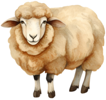 Sheep. AI Generative png