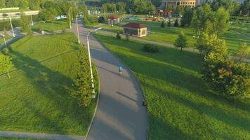 Mann ist Inliner fahren im Grün Stadt Park im das Morgen. Antenne Sicht. Drohne im aktiv Spur Modus. video