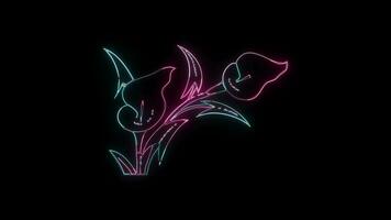 flowers with a glowing neon effect animated abstract motion on black background video