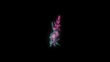 flowers with a glowing neon effect animated abstract motion on black background video