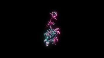 fleurs avec une embrasé néon effet Animé abstrait mouvement sur noir Contexte video