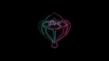 flowers with a glowing neon effect animated abstract motion on black background video