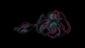 bloemen met een gloeiend neon effect geanimeerd abstract beweging Aan zwart achtergrond video