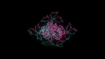 bloemen met een gloeiend neon effect geanimeerd abstract beweging Aan zwart achtergrond video