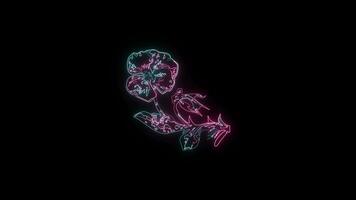 bloemen met een gloeiend neon effect geanimeerd abstract beweging Aan zwart achtergrond video