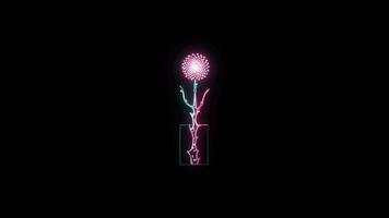 flowers with a glowing neon effect animated abstract motion on black background video