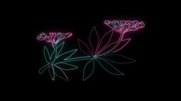 bloemen met een gloeiend neon effect geanimeerd abstract beweging Aan zwart achtergrond video