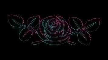 bloemen met een gloeiend neon effect geanimeerd abstract beweging Aan zwart achtergrond video