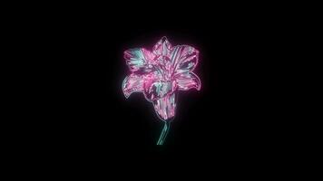 flowers with a glowing neon effect animated abstract motion on black background video