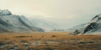 Generative AI, Winter aesthetic landscape panorama, muted neutral colors, forest and mountains. photo