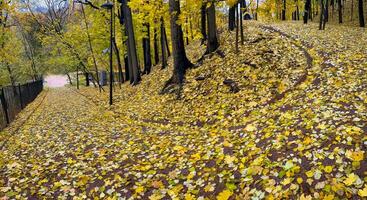 Panoramic view of a steep path in autumn park photo