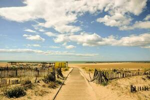 a pathway leads to the beach and sand dunes photo