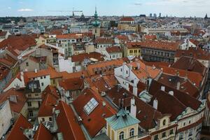 panorámico ver de rojo tejados en Praga foto