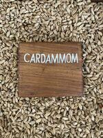 cardamomo parte superior ver con un Placa de nombre en el medio foto