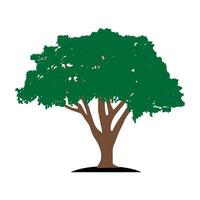 sombreado árbol icono vector