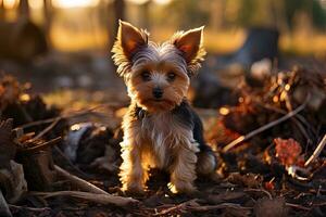 Yorkshire terrier puppy. close-up portrait, against the background of nature. Ai art photo