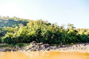 a river with a lot of trees and rocks photo