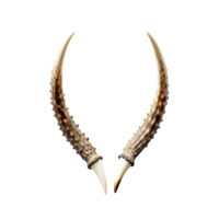 Animal horns isolated on transparent background, created with generative AI png