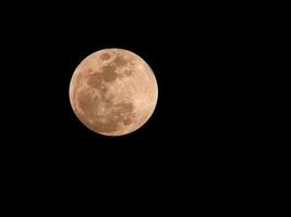 Moon closeup showing the detail of the lunar eclipse. Black background. photo