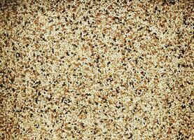 Mixed seed for feed bird as nature food background - Top view of white , brown and black grains. photo