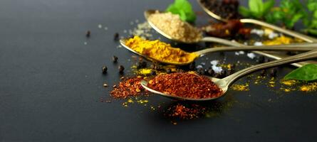 Dry chilli - spicy herbs for cooking and herbs on black background photo