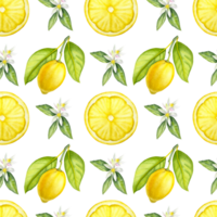 Seamless watercolor lemon pattern on the transparent background. Hand drawn watercolor pattern with lemons and lemon flowers. png