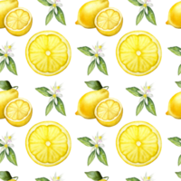 Seamless watercolor lemon pattern on the transparent background. Hand drawn watercolor pattern with lemons and lemon flowers. png