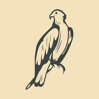 osprey Bird Retro vector Stock Illustration