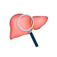 Human liver with magnifying glass. Finding virus. Vector stock illustration.