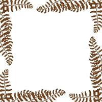 Frame with fern leaves for websites, cards and your other designs. Vector illustration isolated on white background.