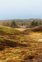 Scandinavian national park in iceland filled with hills and fields, gorgeous countryside cottages near river stream in thingvellir. Beautiful scenic route and natural nordic landmarks. photo