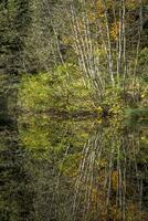 reflections on the lake Boedelesee photo