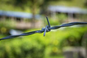 barb wire at the field border photo