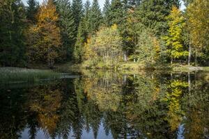 reflections on the lake Boedelesee photo