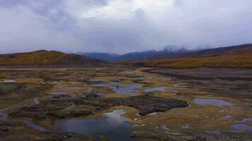 pequeño lagos y nubes reflexión. eshtykel meseta. el altai montañas, Rusia. aéreo vista. zumbido moscas adelante video