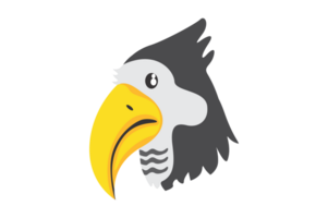 dier - toekan vogel png