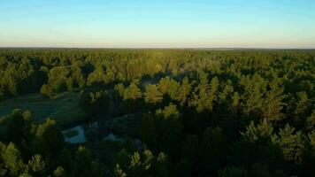 Forest and River in the Morning. Aerial View. Drone Flies Forward video