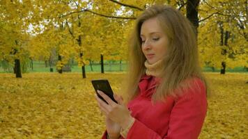 Jeune magnifique caucasien femme dans rouge manteau avec longue Cheveux est dactylographie sur noir téléphone intelligent dans le l'automne parc avec Jaune des arbres. moyen tir. 60 ips. video