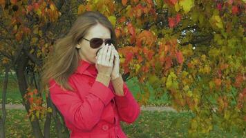 joven caucásico mujer en Gafas de sol y rojo capa es quedarse cerca árbol con amarillo y rojo hojas y Bebiendo caliente bebida desde termo metal taza. 60 60 fps. video