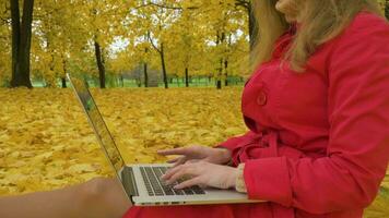 Jeune caucasien femme dans rouge manteau est dactylographie sur portable en portant il sur sa les genoux dans l'automne parc avec Jaune des arbres. lent mouvement. caméra est panoramique de portable à affronter. moyen tir. video