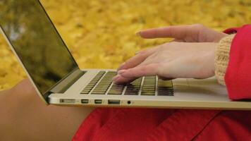 Young caucasian woman in red cloak is typing on laptop keyboard holding it on her knees. Yellow fallen autumn leaves on background. Close-up shot. Slow motion. video