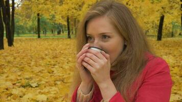 Young cute caucasian smiling woman in red jacket is drinking hot beverage from thermos metal mug. Autumn fallen yellow leaves and trees on background. Medium shot. video