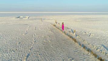 Young caucasian woman in red dress with long hairs is going on a path to salt lake. Aerial view. video