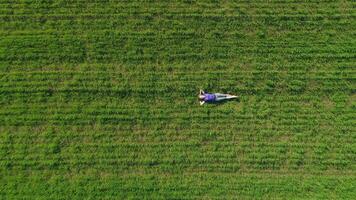 joven mujer es acostado y relajante en enorme verde césped. zumbido es volador a el bien. vertical disparo. aéreo vista. lento movimiento. video