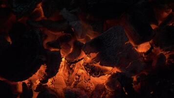 Incandescent Hot Coals in Fire video