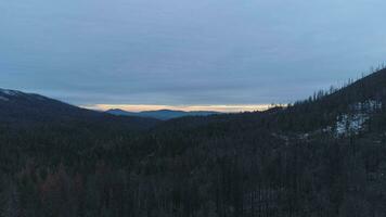 Nadelbaum Wald und Berg. Sierra National Wald, Kalifornien, USA. Antenne Sicht. Drohne fliegt rückwärts video