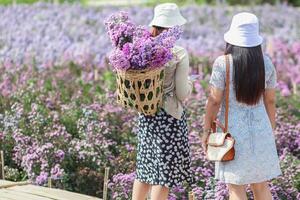 un hermosa hembra turista es teniendo divertido en un flor jardín ese es floreciente en el invierno de chiang mai provincia y hembra turistas además me gusta a tomar fotos dentro el hermosa flor jardín.