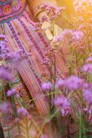 A beautiful female tourist is having fun in a flower garden that is blooming in the winter of Chiang Mai province and female tourists also like to take photos inside the beautiful flower garden.