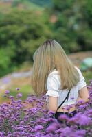 un hermosa hembra turista es teniendo divertido en un flor jardín ese es floreciente en el invierno de chiang mai provincia y hembra turistas además me gusta a tomar fotos dentro el hermosa flor jardín.