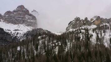 tre cime di lavaredo. el Tres picos en nublado invierno día y bosque. aéreo vista. sexten dolomitas, sur Tirol, Italia. zumbido moscas oblicuo. ver desde el sur video